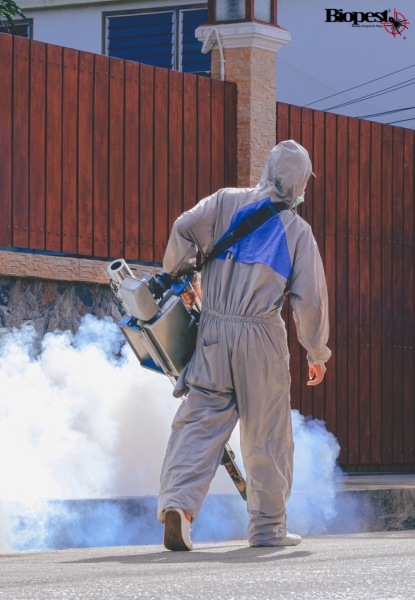 fumigacion-empresas-fumigacion-negocios