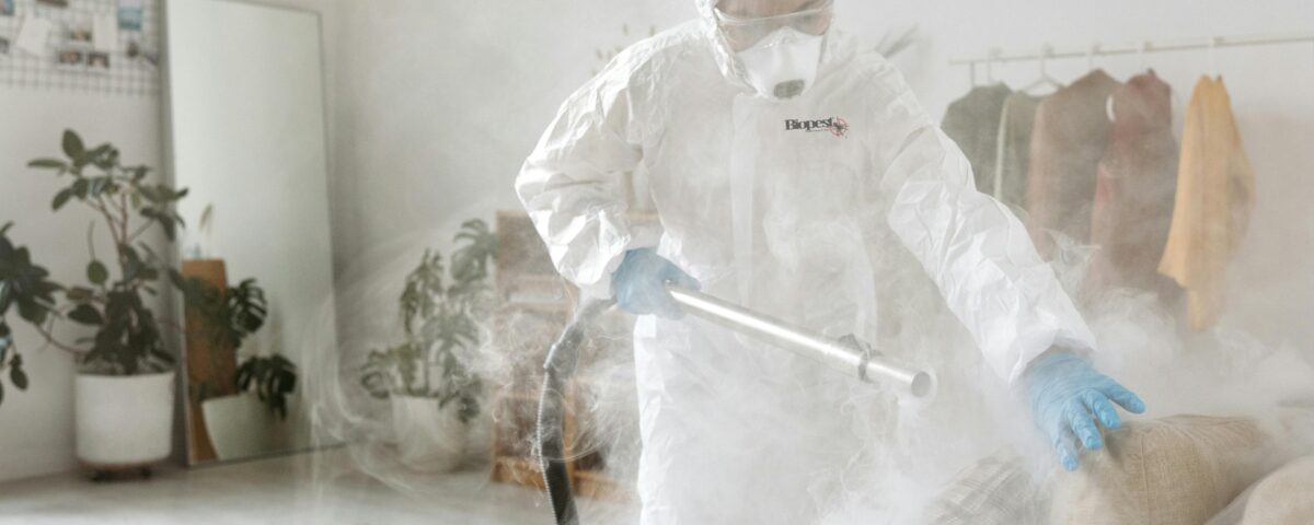 Control de plagas monterrey fumigacion residencial