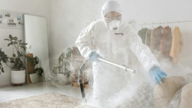 Control de plagas monterrey fumigacion residencial